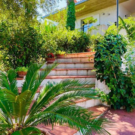 Villa In Collina Vista Mare Розето дели Абруци Екстериор снимка