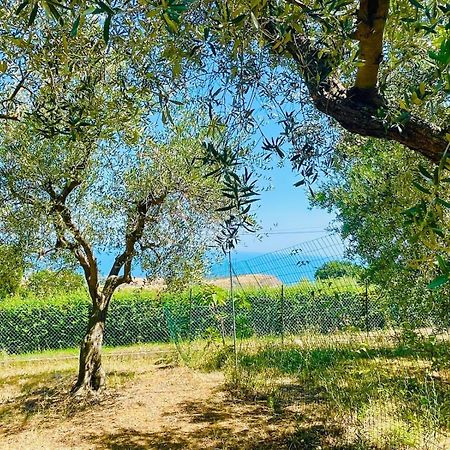 Villa In Collina Vista Mare Розето дели Абруци Екстериор снимка