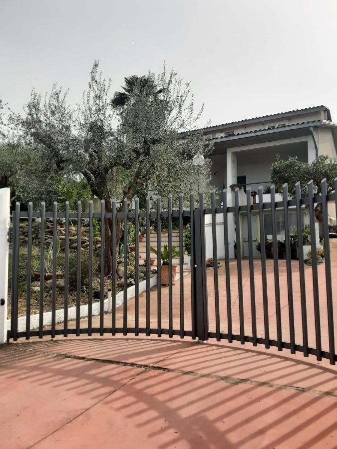 Villa In Collina Vista Mare Розето дели Абруци Екстериор снимка
