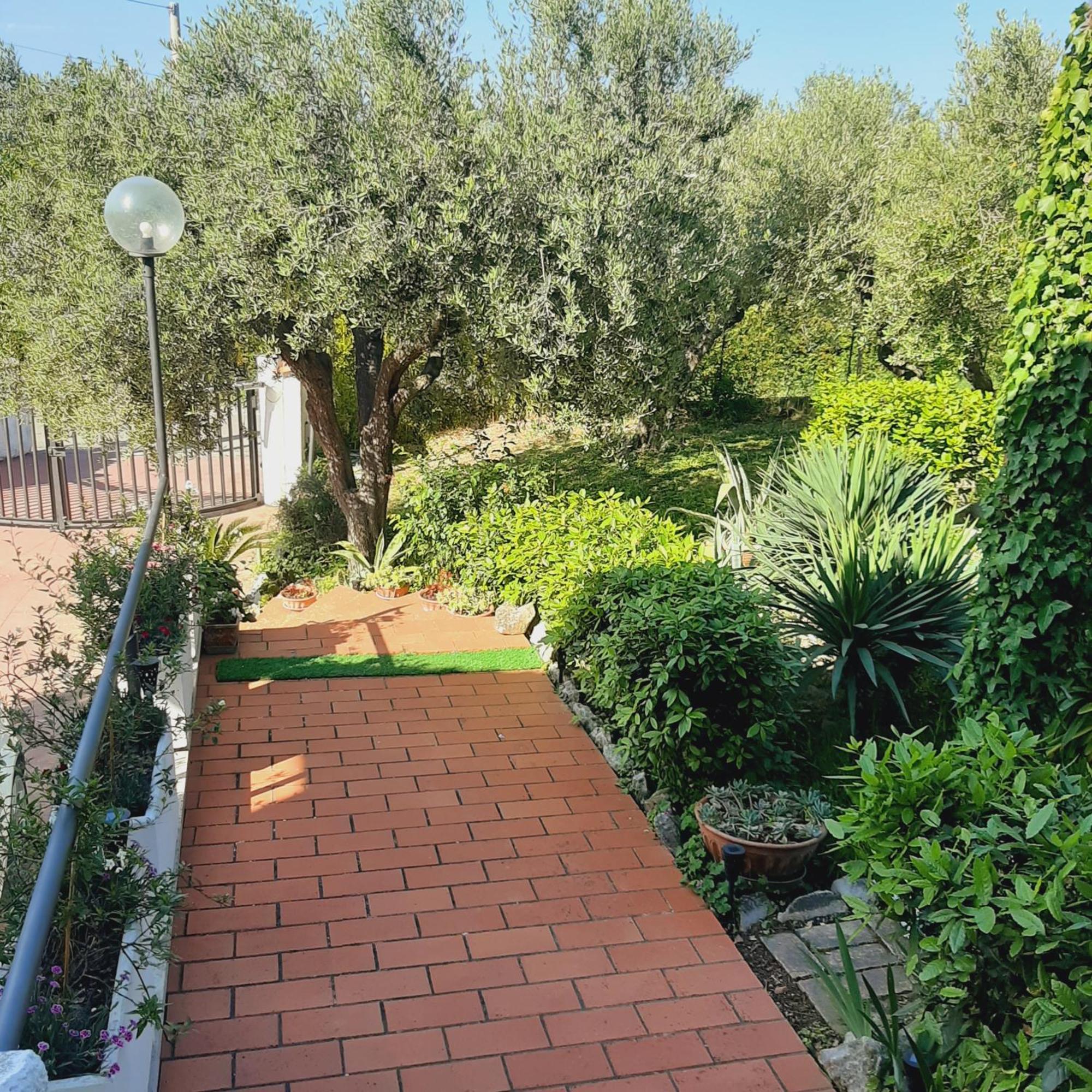 Villa In Collina Vista Mare Розето дели Абруци Екстериор снимка