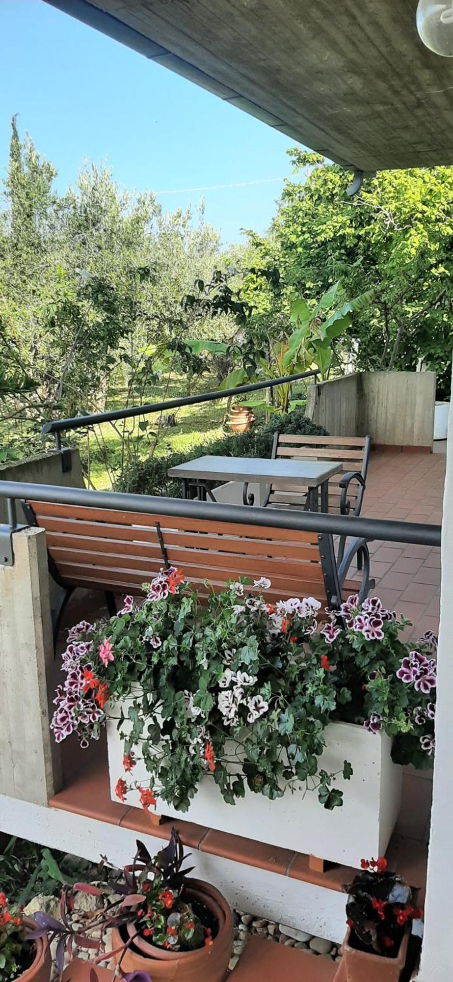 Villa In Collina Vista Mare Розето дели Абруци Екстериор снимка