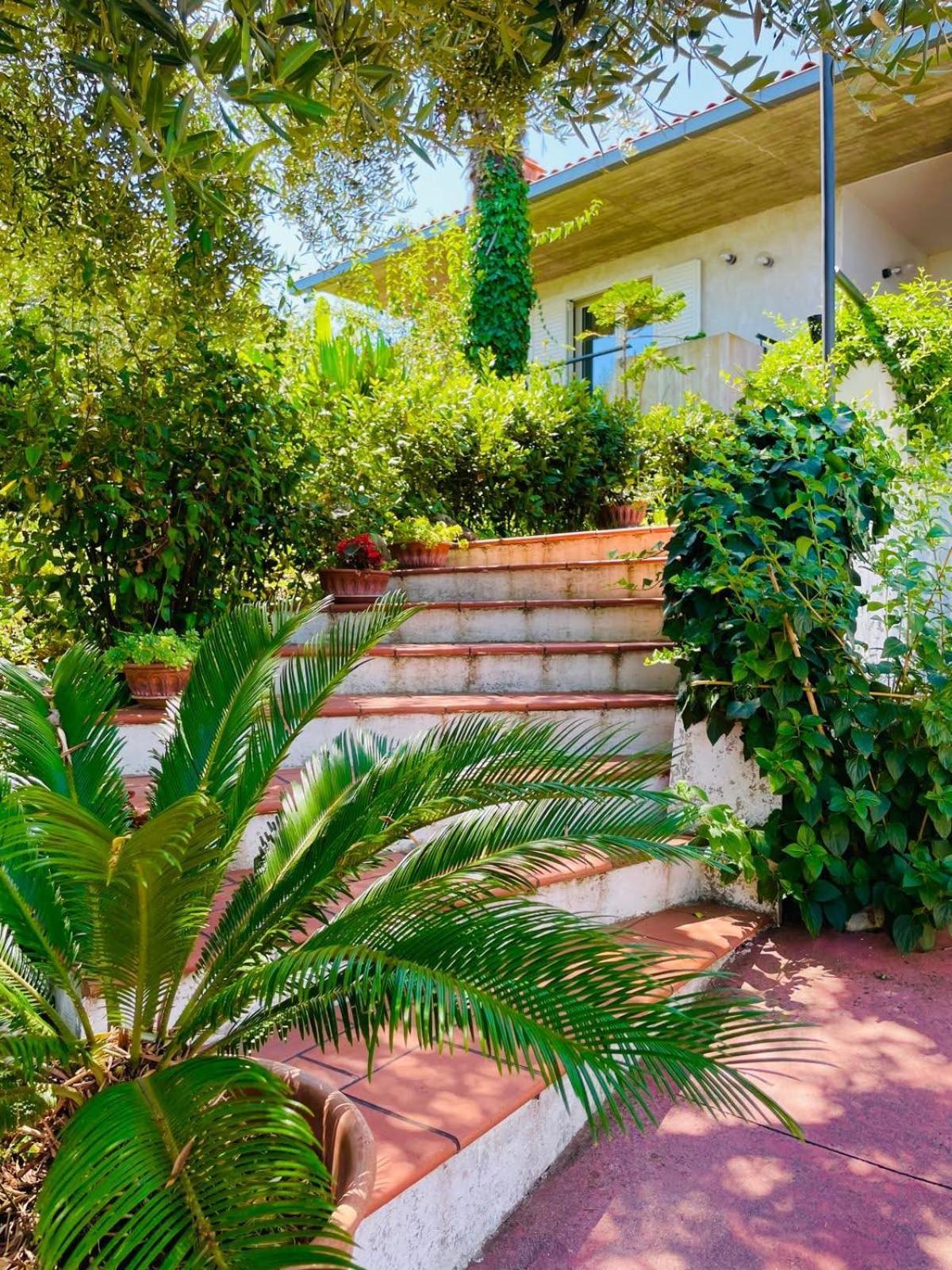 Villa In Collina Vista Mare Розето дели Абруци Екстериор снимка