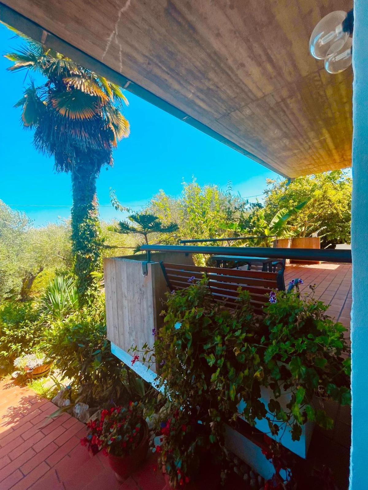 Villa In Collina Vista Mare Розето дели Абруци Екстериор снимка