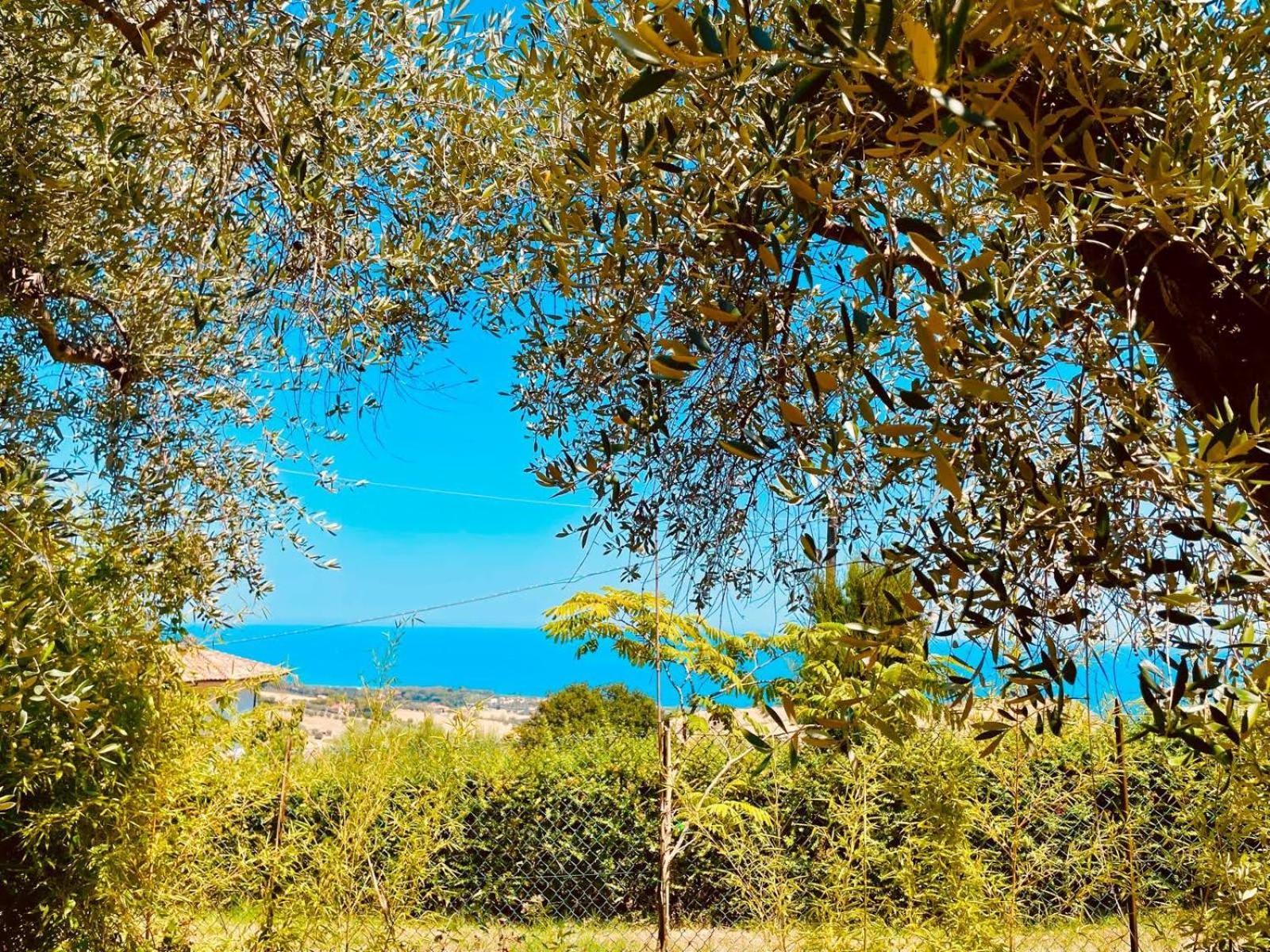Villa In Collina Vista Mare Розето дели Абруци Екстериор снимка